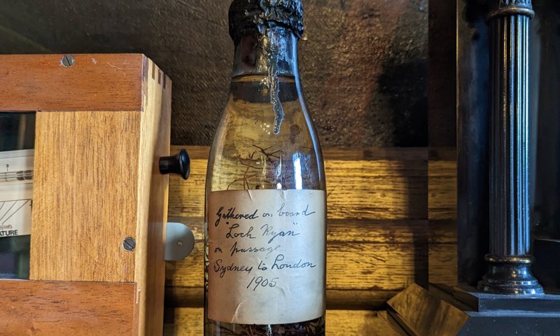A small, old looking glass bottle stoppered with black wax, sitting on a shelf surrounded by old looking wooden objects. Inside the bottle is a small collection of green seaweed, with the label on the front written in curving handwriting.