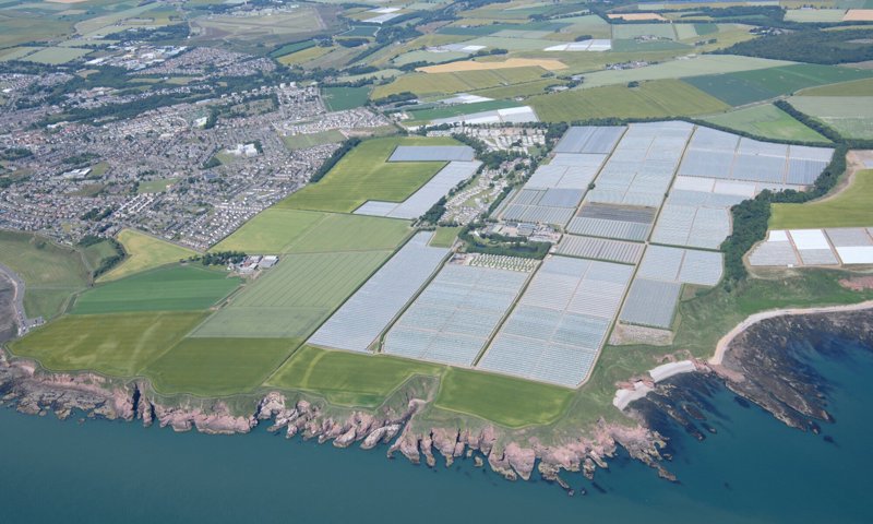 An aerial photograph of an extensive series of polytunnels by the coast. The photo features a town in the upper left, and where fields were previously, reaching to the sea are a network of white and grey lines that are actually plastic tunnels.